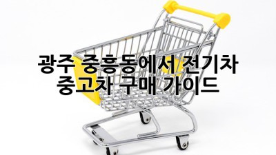 광주 중흥동에서 전기차 중고차 구매 가이드