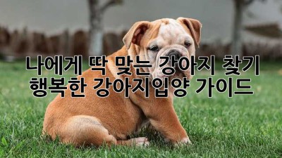 🐶 나에게 딱 맞는 강아지 찾기: 행복한 #강아지입양 가이드 🐾