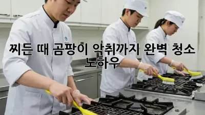 찌든 때, 곰팡이, 악취까지! 완벽 청소 노하우
