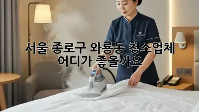 서울 종로구 와룡동 청소업체, 어디가 좋을까요?